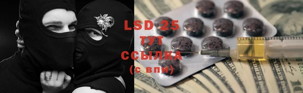 ГАЛЛЮЦИНОГЕННЫЕ ГРИБЫ Алзамай