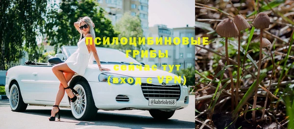 дмт Алексин