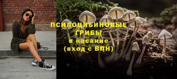 ГАЛЛЮЦИНОГЕННЫЕ ГРИБЫ Алзамай