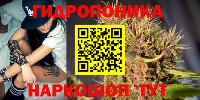 круглые Камышлов