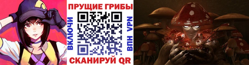 где купить наркоту  omg как войти  Псилоцибиновые грибы Psilocybe  Мытищи 